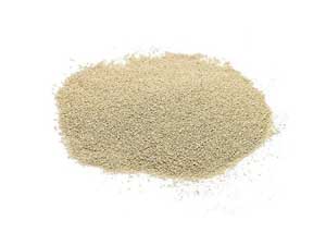yeast